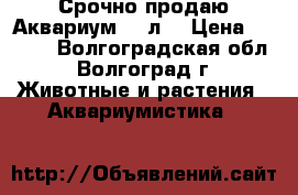  Срочно продаю Аквариум 380л. › Цена ­ 4 000 - Волгоградская обл., Волгоград г. Животные и растения » Аквариумистика   